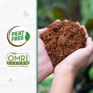 Back to the Roots Organic Coir, 51 Quart Expanding Soil, Great for Seeds and Potting - 2