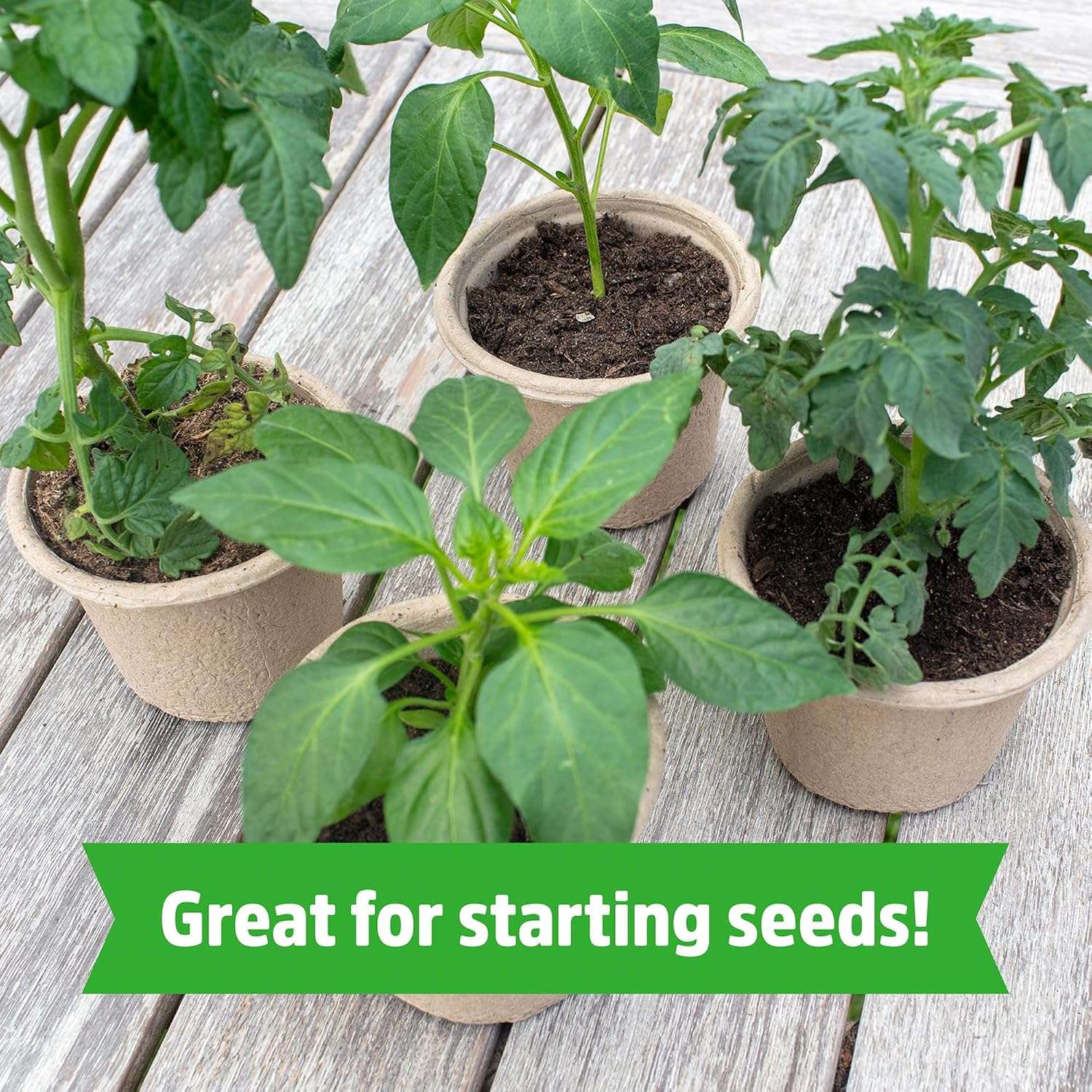 Back to the Roots Organic Coir, 51 Quart Expanding Soil, Great for Seeds and Potting - 4