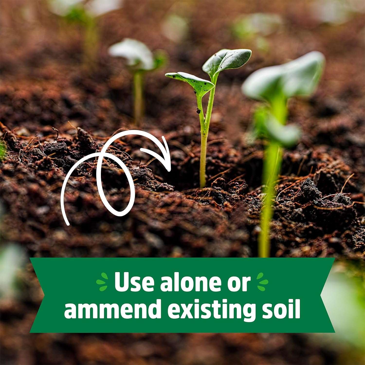 Back to the Roots Organic Coir, 51 Quart Expanding Soil, Great for Seeds and Potting - 5