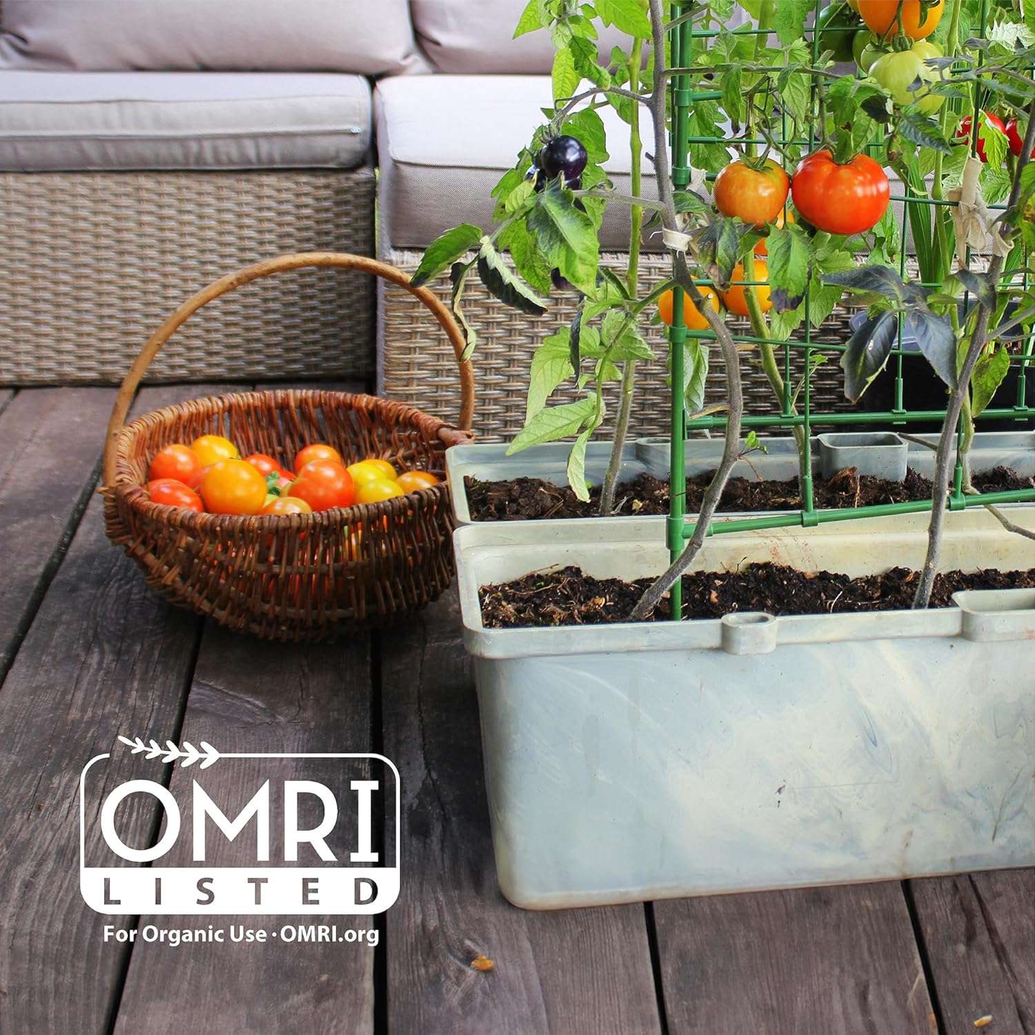 Back to the Roots Organic Coir, 51 Quart Expanding Soil, Great for Seeds and Potting - 7