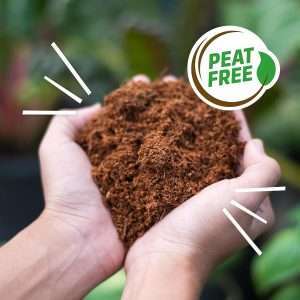 Back to the Roots Organic Coir, 51 Quart Expanding Soil, Great for Seeds and Potting - 8