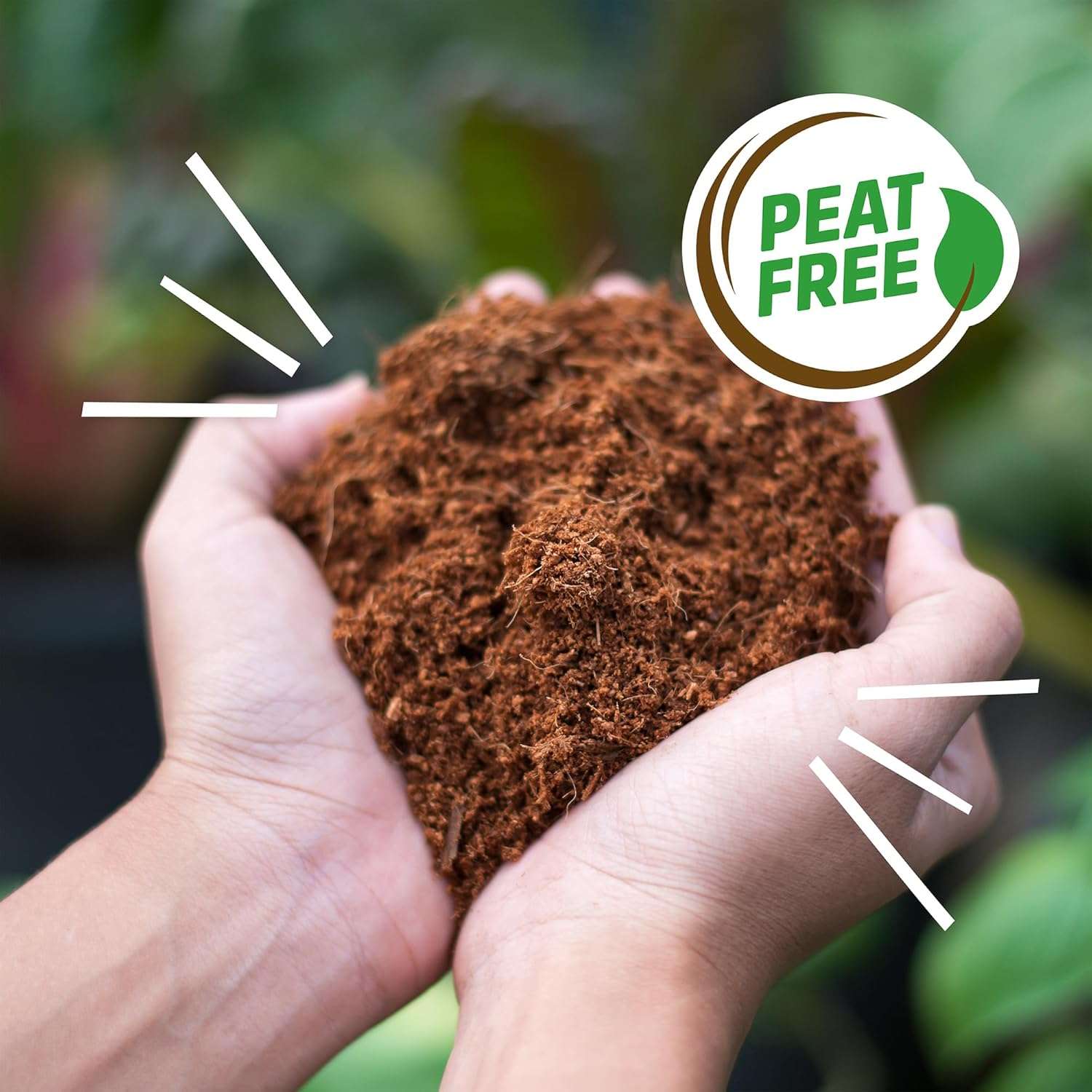 Back to the Roots Organic Coir, 51 Quart Expanding Soil, Great for Seeds and Potting - 8