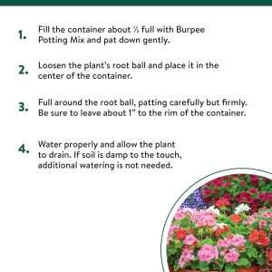 Burpee, 9 Quarts - Premium Organic Potting Natural Soil Mix Food Ideal for Container Garden-Vegetable, Flower & Herb Use for Indoor Outdoor Plant - 4