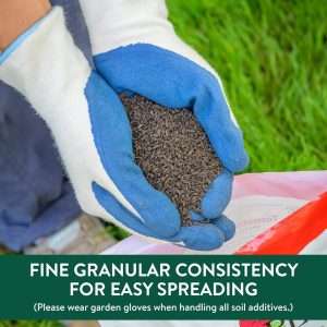 Burpee Organic Tomato & Vegetable Granular Plant Food, 4 lb - 2