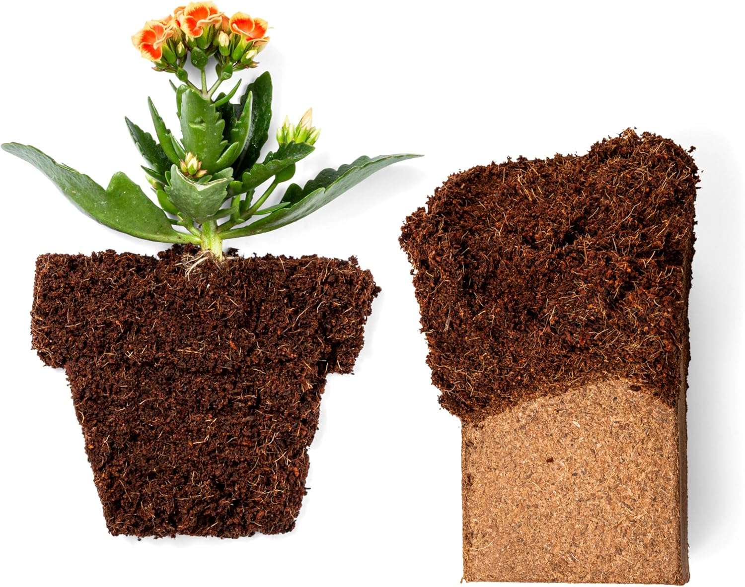 Coco Coir 650gm Bricks - Organic Coco Coir for Plants & Gardening - OMRI-Listed Cocopeat for Garden Soil, Seed Starter Soil, & Mulch - Organic Coconut Bricks - Coconut Fiber Potting Mix - 7