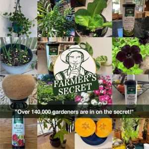 Farmer’s Secret Fruit & Bloom Booster Fertilizer (32oz) - Super Concentrated - Increases Flowering and Yield on All Varieties of Fruits, Vegetables and Flowers - 5