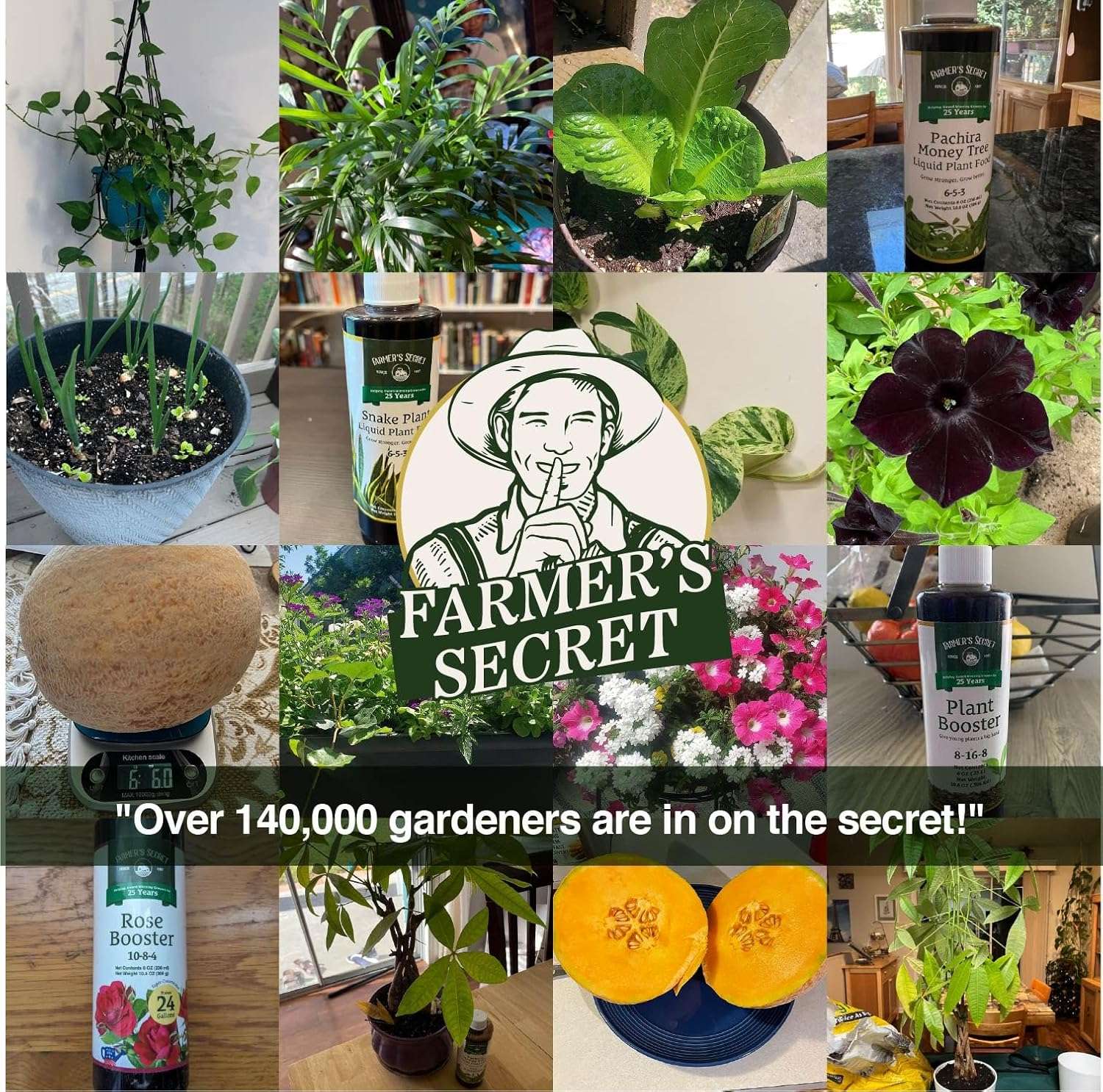 Farmer’s Secret Fruit & Bloom Booster Fertilizer (32oz) - Super Concentrated - Increases Flowering and Yield on All Varieties of Fruits, Vegetables and Flowers - 5