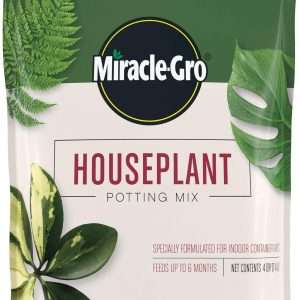 Miracle-Gro Houseplant Potting Mix- Fertilized, Perlite Soil for Indoor Gardening, Designed to Be Less Prone to Gnats, 4 qt. - 1