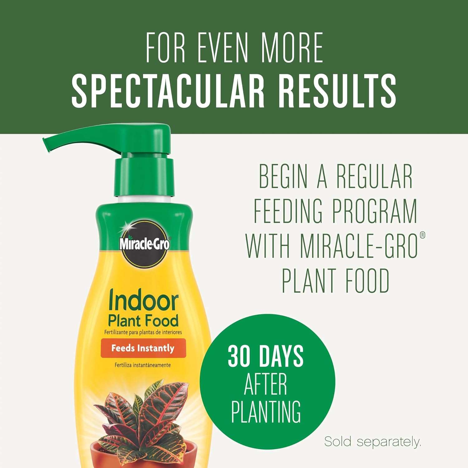 Miracle-Gro Houseplant Potting Mix- Fertilized, Perlite Soil for Indoor Gardening, Designed to Be Less Prone to Gnats, 4 qt. - 2