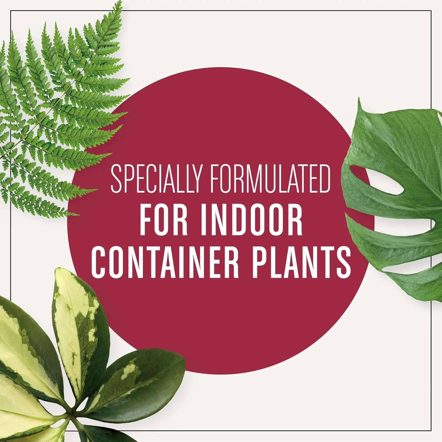 Miracle-Gro Houseplant Potting Mix- Fertilized, Perlite Soil for Indoor Gardening, Designed to Be Less Prone to Gnats, 4 qt. - 5