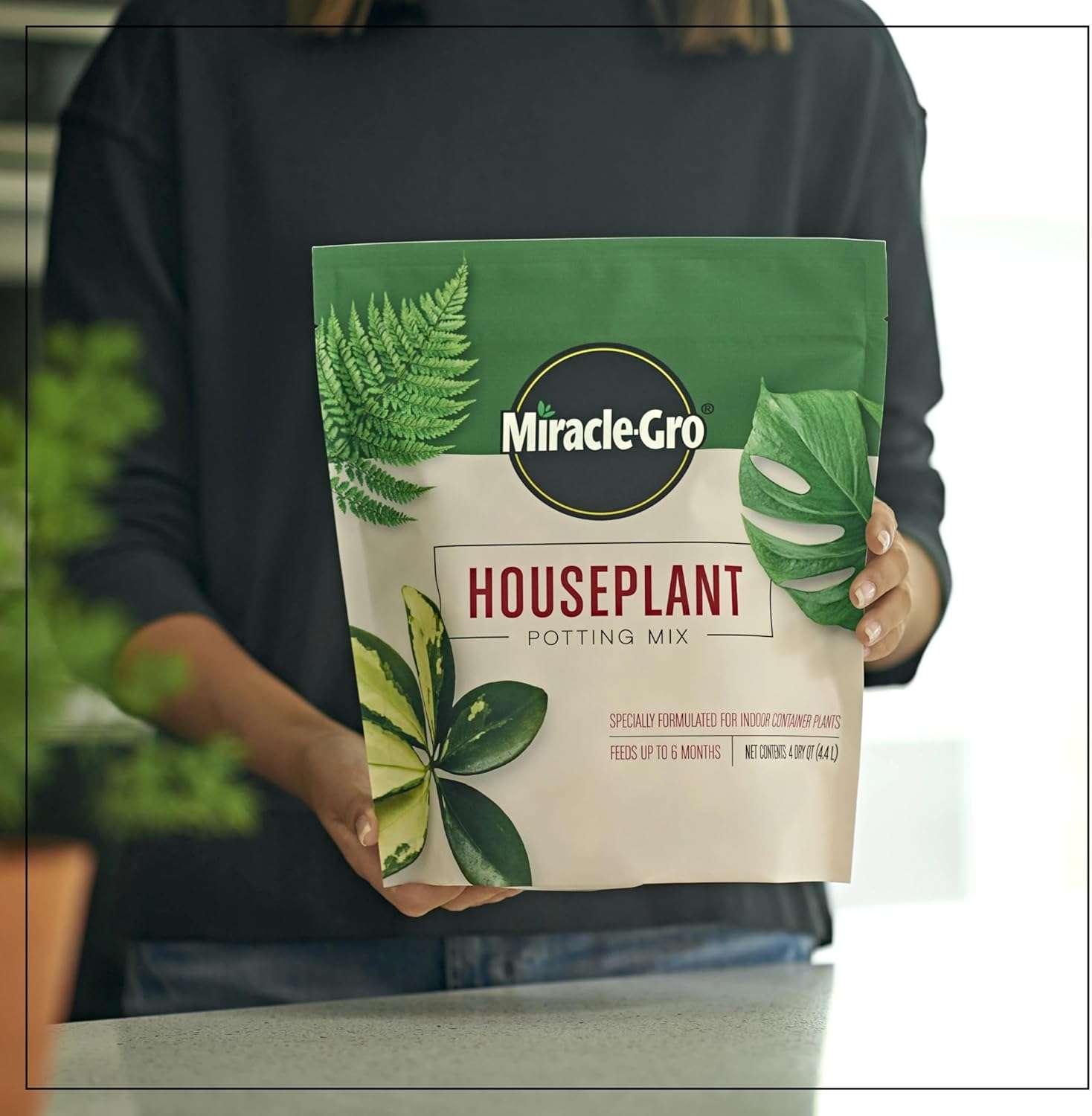 Miracle-Gro Houseplant Potting Mix- Fertilized, Perlite Soil for Indoor Gardening, Designed to Be Less Prone to Gnats, 4 qt. - 6