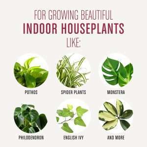 Miracle-Gro Houseplant Potting Mix- Fertilized, Perlite Soil for Indoor Gardening, Designed to Be Less Prone to Gnats, 4 qt. - 7