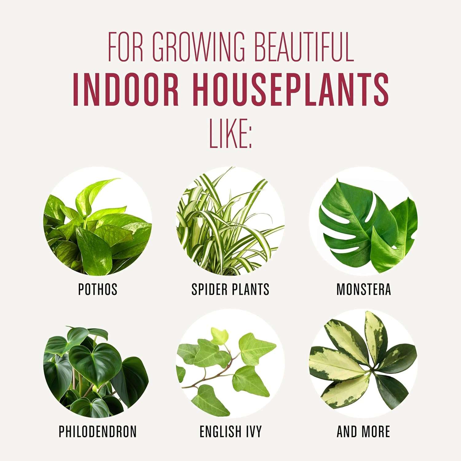 Miracle-Gro Houseplant Potting Mix- Fertilized, Perlite Soil for Indoor Gardening, Designed to Be Less Prone to Gnats, 4 qt. - 7