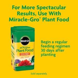 Miracle-Gro Potting Mix, For Container Plants, Flowers, Vegetables, Shrubs, Annuals, Perennials, Feeds up to 6 Months, 8 qt., 2-Pack - 10