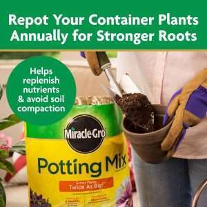Miracle-Gro Potting Mix, For Container Plants, Flowers, Vegetables, Shrubs, Annuals, Perennials, Feeds up to 6 Months, 8 qt., 2-Pack - 8