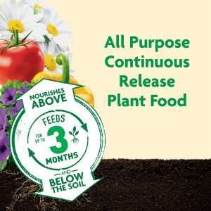 Miracle-Gro Shake 'N Feed All Purpose Plant Food, For In-Ground and Container Plants, Feeds for up to 3 Months, 4.5 lbs. - 3