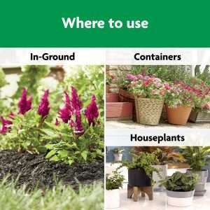 Miracle-Gro Shake 'N Feed All Purpose Plant Food, For In-Ground and Container Plants, Feeds for up to 3 Months, 4.5 lbs. - 6