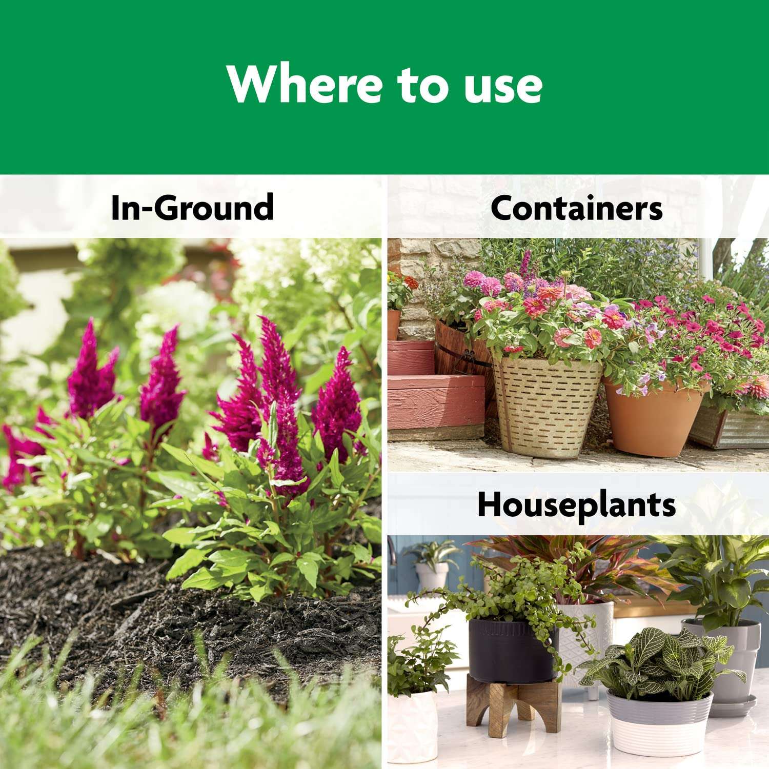 Miracle-Gro Shake 'N Feed All Purpose Plant Food, For In-Ground and Container Plants, Feeds for up to 3 Months, 4.5 lbs. - 6