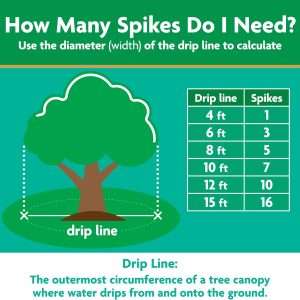 Miracle-Gro Tree and Shrub Plant Food Spikes, For Deciduous, Flowering and Evergreen Trees, Hydrangeas, and Acid-Loving Plants, 12 Spikes - 10