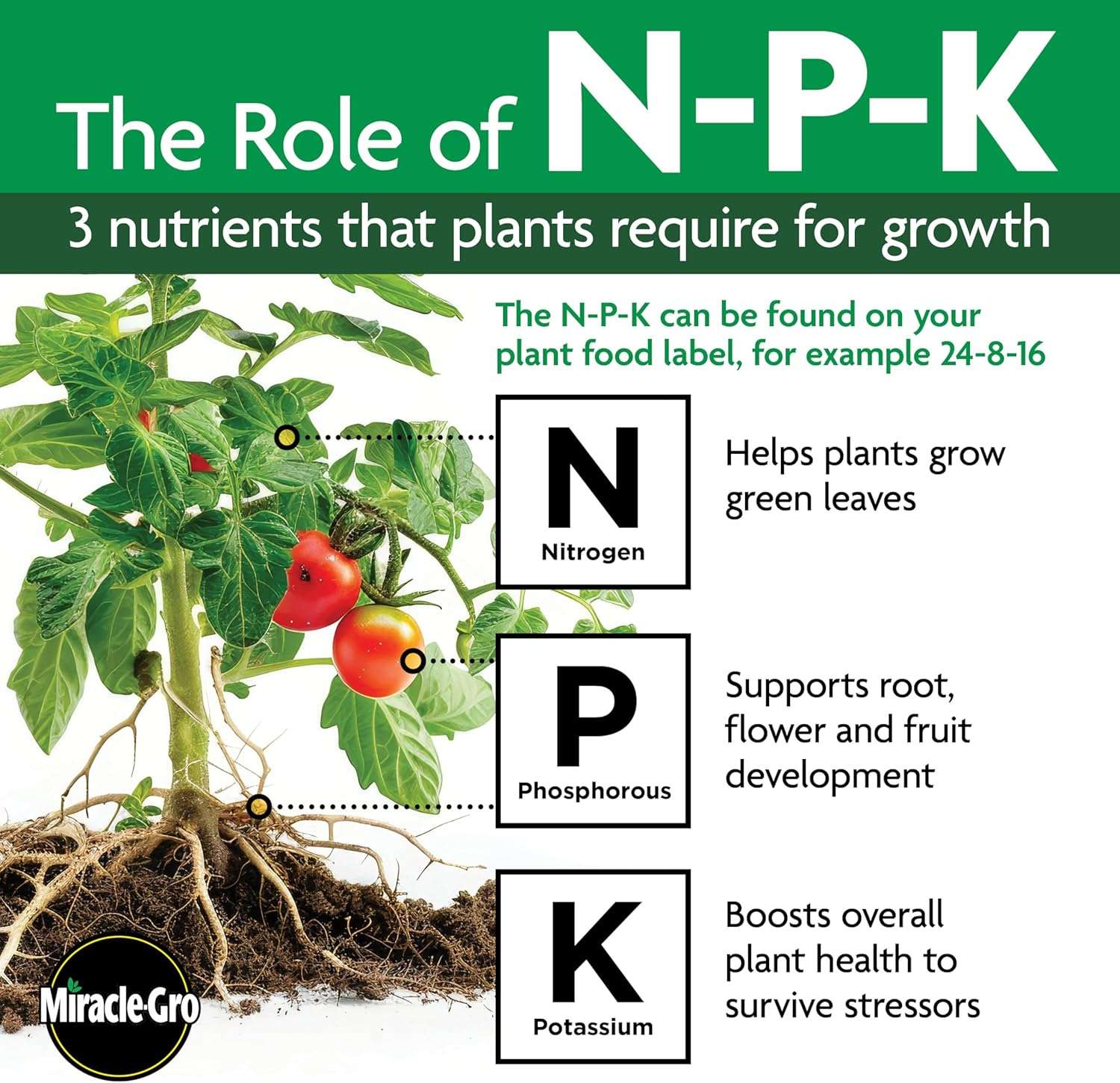 Miracle-Gro Tree and Shrub Plant Food Spikes, For Deciduous, Flowering and Evergreen Trees, Hydrangeas, and Acid-Loving Plants, 12 Spikes - 11