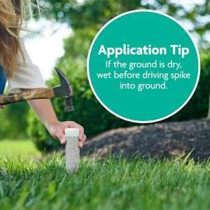 Miracle-Gro Tree and Shrub Plant Food Spikes, For Deciduous, Flowering and Evergreen Trees, Hydrangeas, and Acid-Loving Plants, 12 Spikes - 2