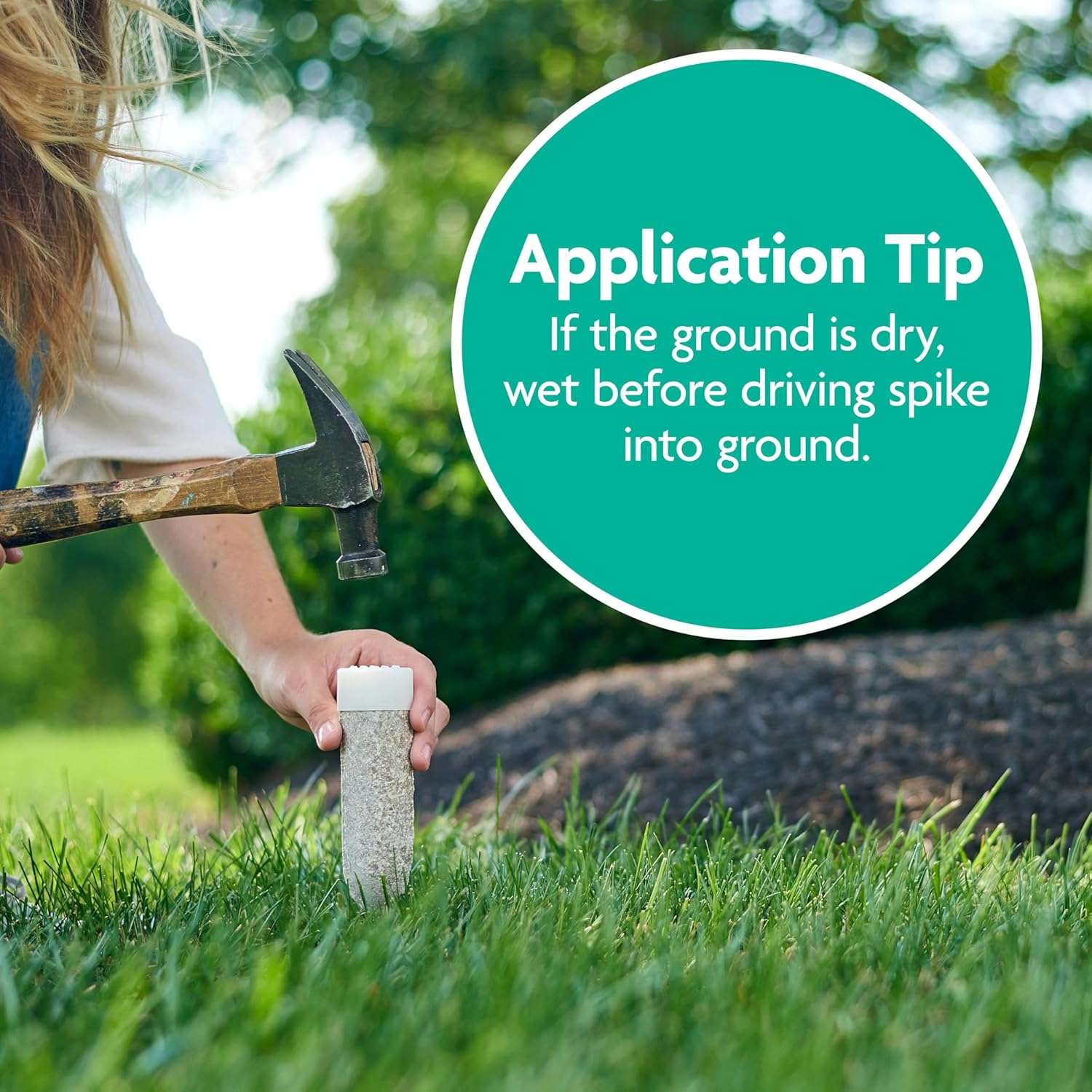 Miracle-Gro Tree and Shrub Plant Food Spikes, For Deciduous, Flowering and Evergreen Trees, Hydrangeas, and Acid-Loving Plants, 12 Spikes - 2