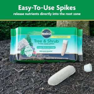 Miracle-Gro Tree and Shrub Plant Food Spikes, For Deciduous, Flowering and Evergreen Trees, Hydrangeas, and Acid-Loving Plants, 12 Spikes - 4