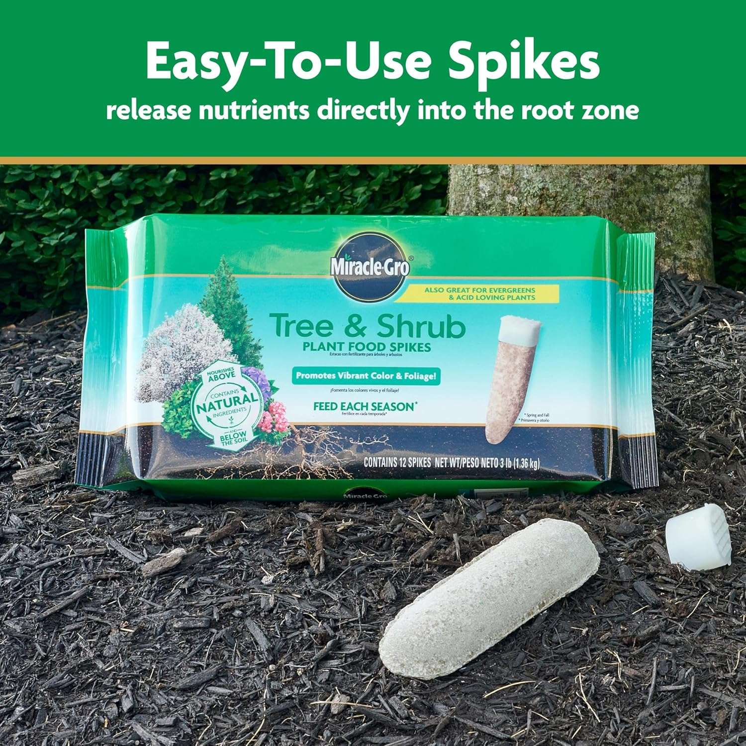 Miracle-Gro Tree and Shrub Plant Food Spikes, For Deciduous, Flowering and Evergreen Trees, Hydrangeas, and Acid-Loving Plants, 12 Spikes - 4