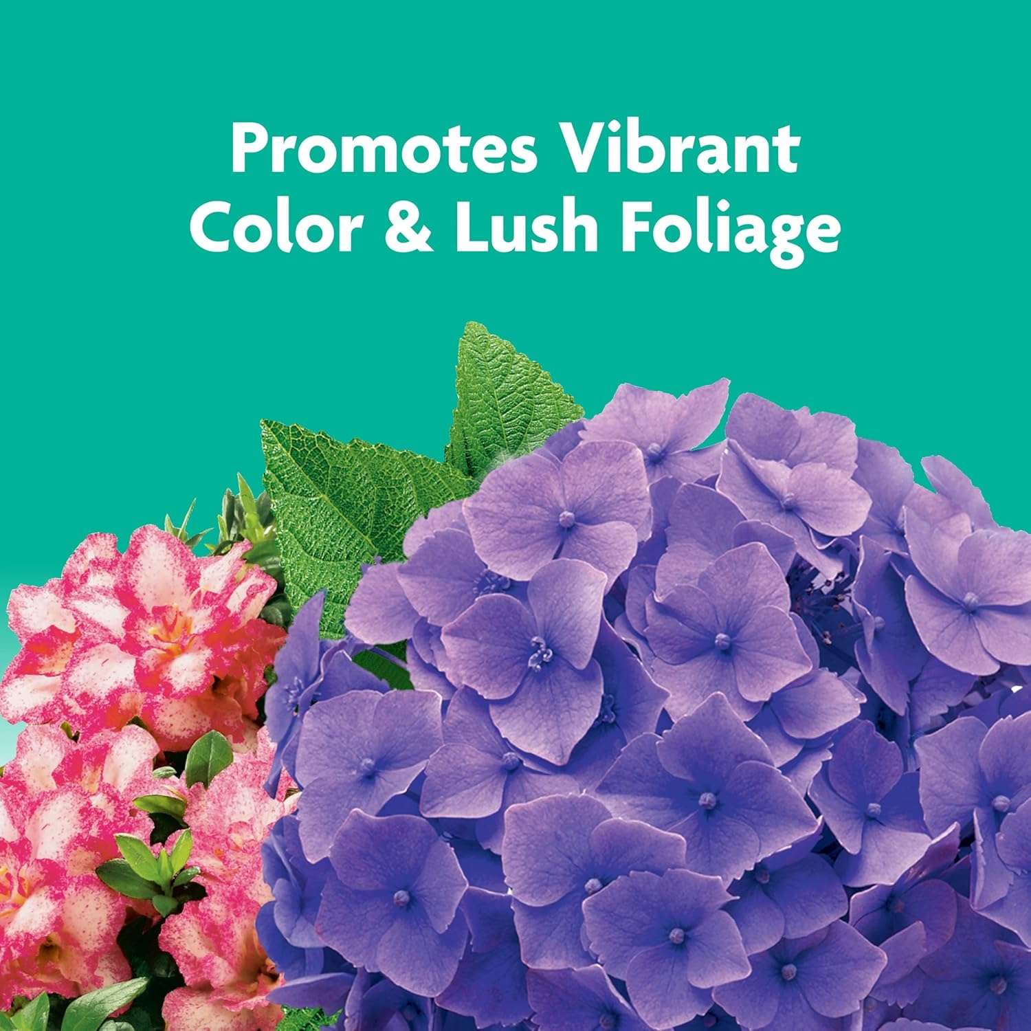 Miracle-Gro Tree and Shrub Plant Food Spikes, For Deciduous, Flowering and Evergreen Trees, Hydrangeas, and Acid-Loving Plants, 12 Spikes - 6