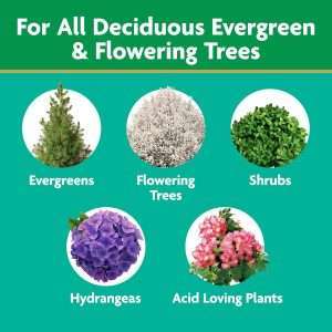 Miracle-Gro Tree and Shrub Plant Food Spikes, For Deciduous, Flowering and Evergreen Trees, Hydrangeas, and Acid-Loving Plants, 12 Spikes - 7