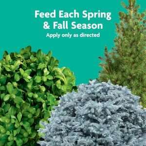 Miracle-Gro Tree and Shrub Plant Food Spikes, For Deciduous, Flowering and Evergreen Trees, Hydrangeas, and Acid-Loving Plants, 12 Spikes - 8