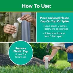 Miracle-Gro Tree and Shrub Plant Food Spikes, For Deciduous, Flowering and Evergreen Trees, Hydrangeas, and Acid-Loving Plants, 12 Spikes - 9