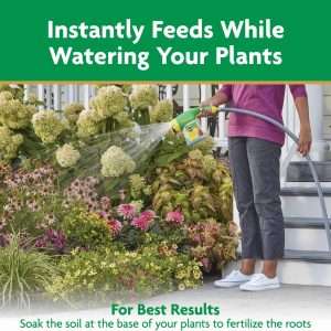 Miracle-Gro Water Soluble All Purpose Plant Food, Fertilizer for Indoor or Outdoor Flowers, Vegetables or Trees, 3 lbs. - 10