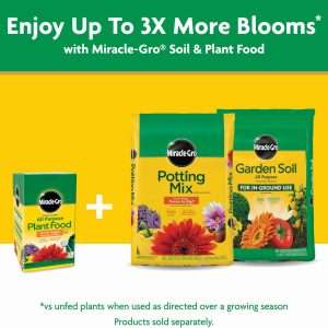 Miracle-Gro Water Soluble All Purpose Plant Food, Fertilizer for Indoor or Outdoor Flowers, Vegetables or Trees, 3 lbs. - 11