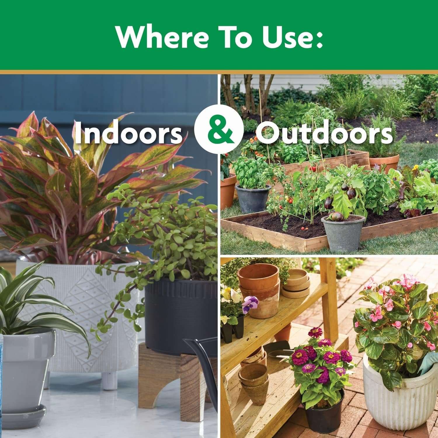 Miracle-Gro Water Soluble All Purpose Plant Food, Fertilizer for Indoor or Outdoor Flowers, Vegetables or Trees, 3 lbs. - 5