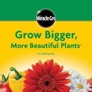 Miracle-Gro Water Soluble All Purpose Plant Food, Fertilizer for Indoor or Outdoor Flowers, Vegetables or Trees, 3 lbs. - 7