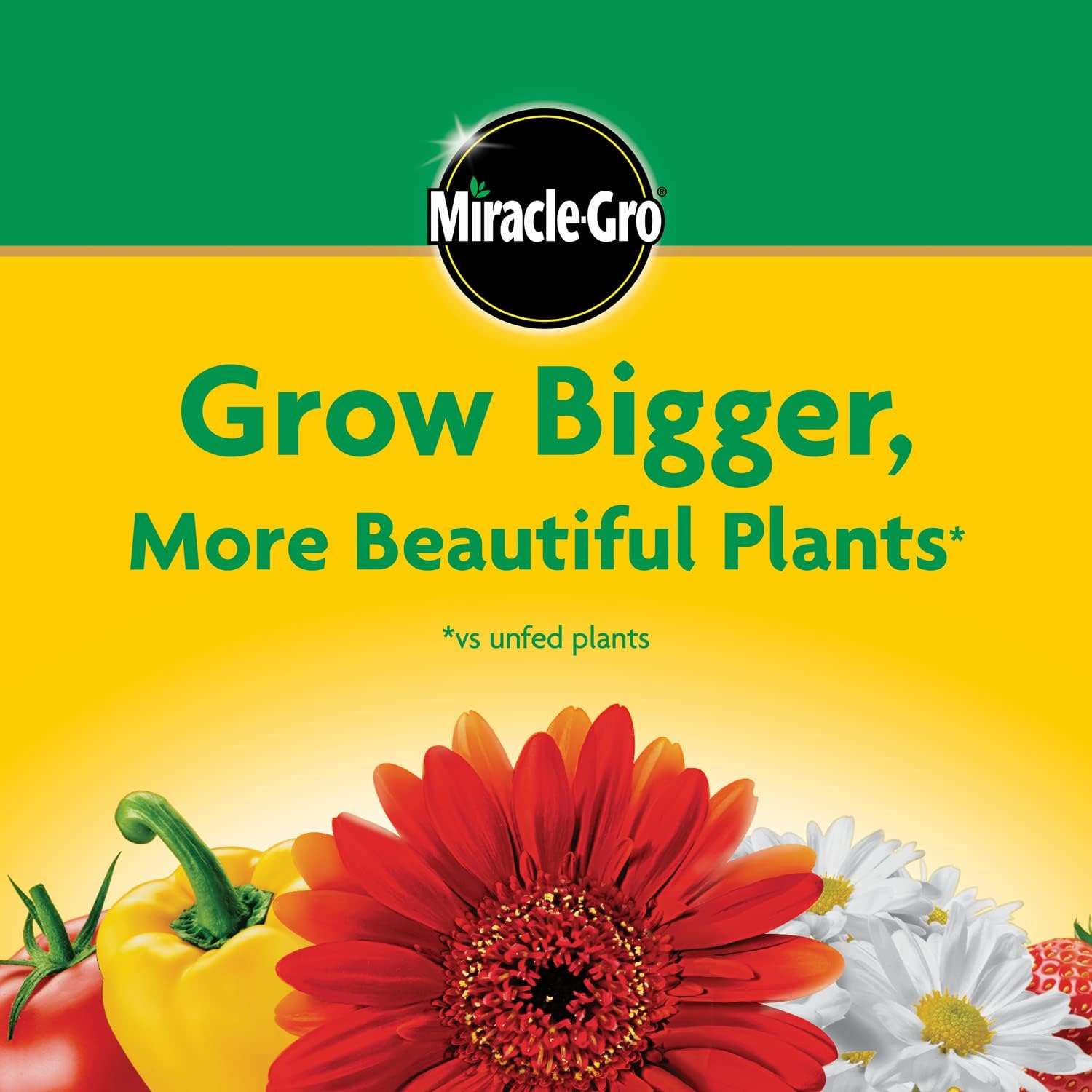 Miracle-Gro Water Soluble All Purpose Plant Food, Fertilizer for Indoor or Outdoor Flowers, Vegetables or Trees, 3 lbs. - 7