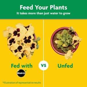 Miracle-Gro Water Soluble All Purpose Plant Food, Fertilizer for Indoor or Outdoor Flowers, Vegetables or Trees, 3 lbs. - 8