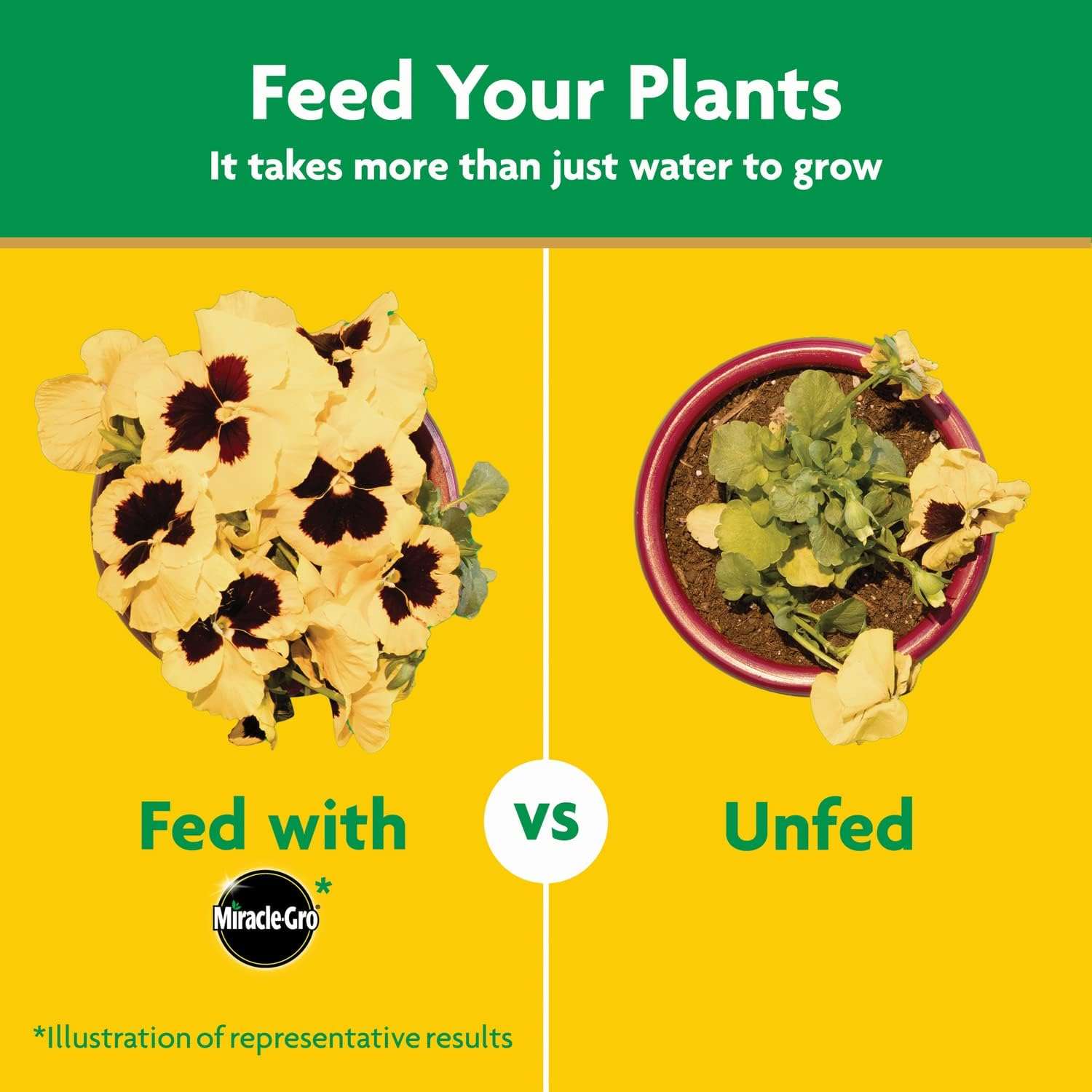 Miracle-Gro Water Soluble All Purpose Plant Food, Fertilizer for Indoor or Outdoor Flowers, Vegetables or Trees, 3 lbs. - 8