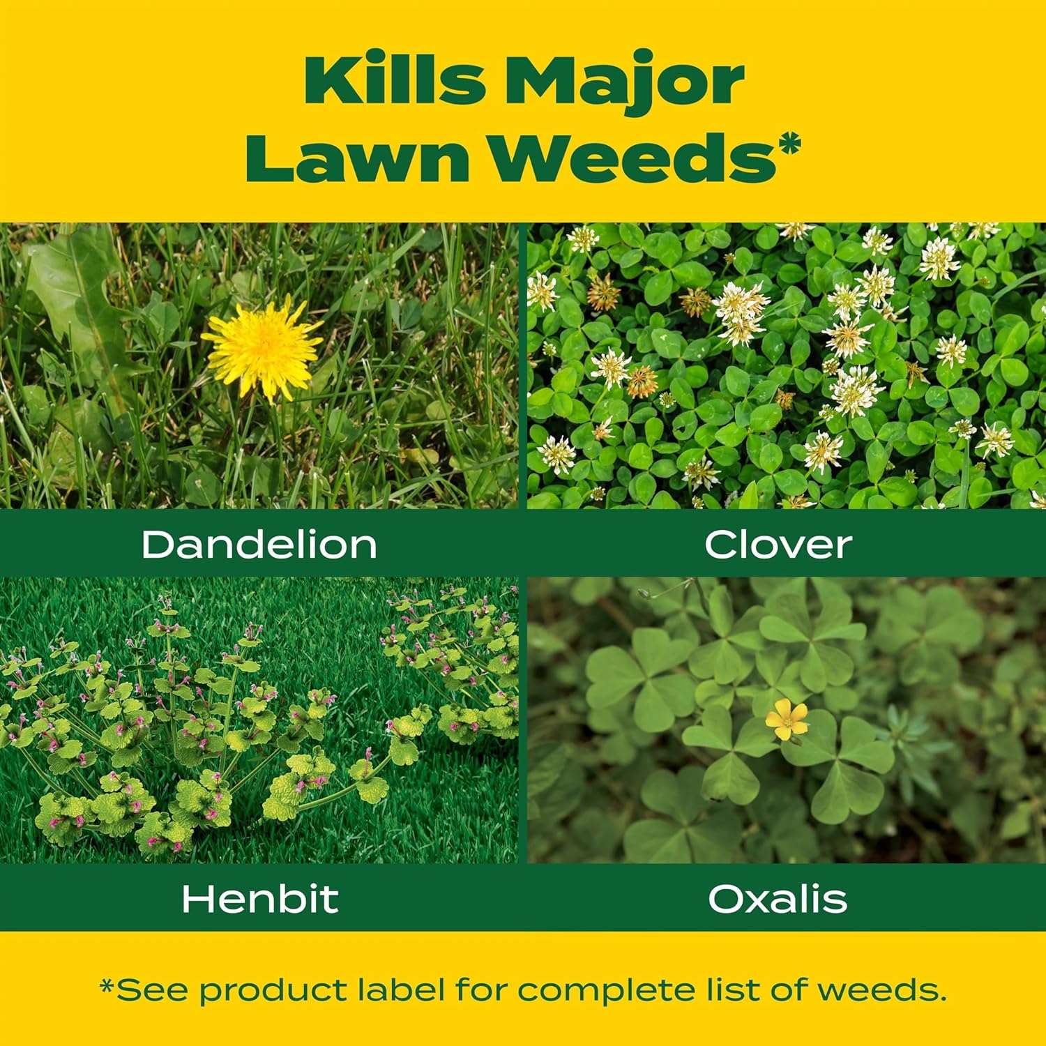 Scotts Liquid Turf Builder with Plus 2 Weed Control, Liquid Weed Killer and Fertilizer, 32 fl. oz. - 3