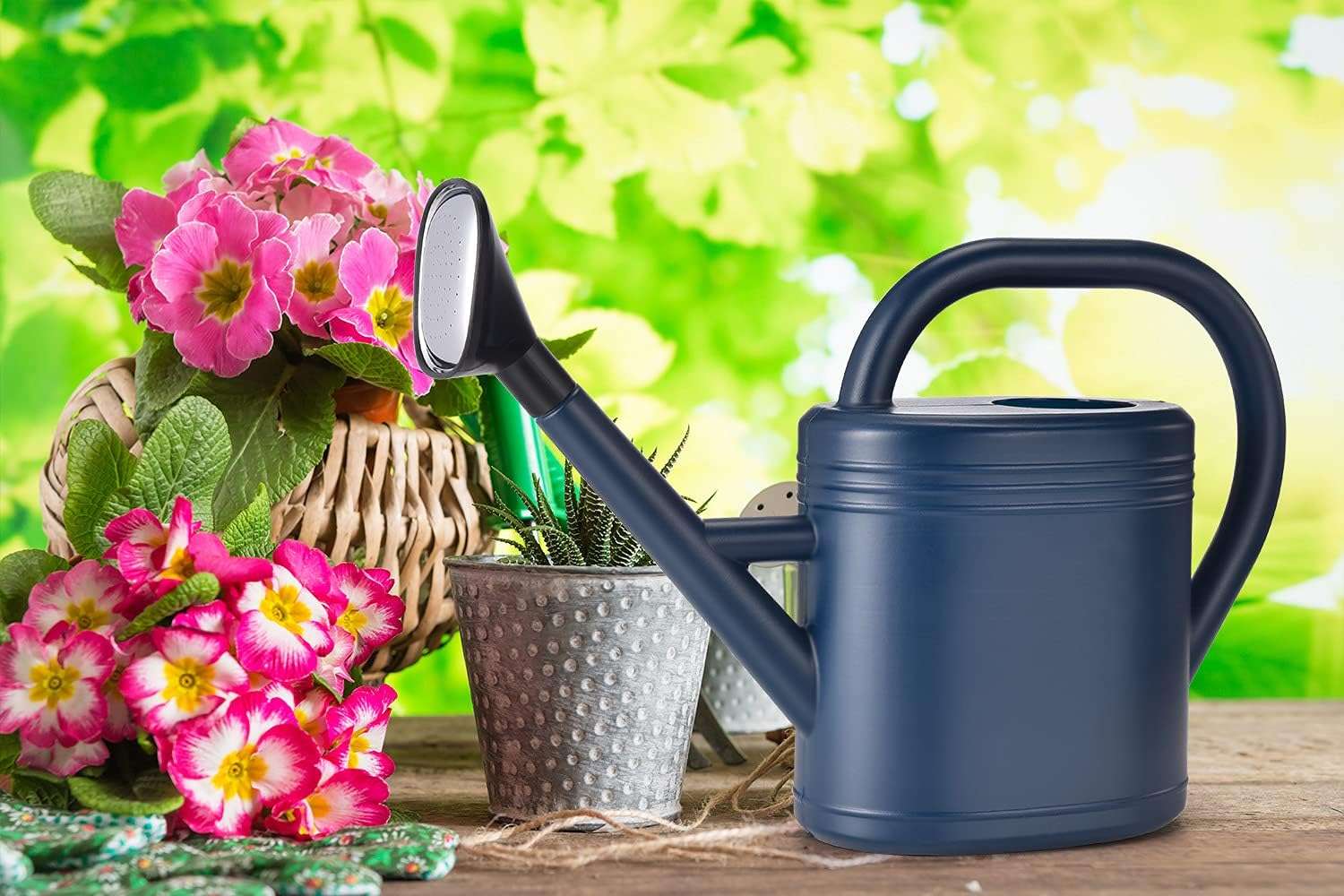 Watering Can 1 Gallon for Indoor Plants, Garden, Outdoor Plant House Flower, Gallon Large Long Spout with Sprinkler Head - 7