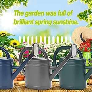 Watering Can 1 Gallon for Indoor Plants, Garden, Outdoor Plant House Flower, Gallon Large Long Spout with Sprinkler Head - 8