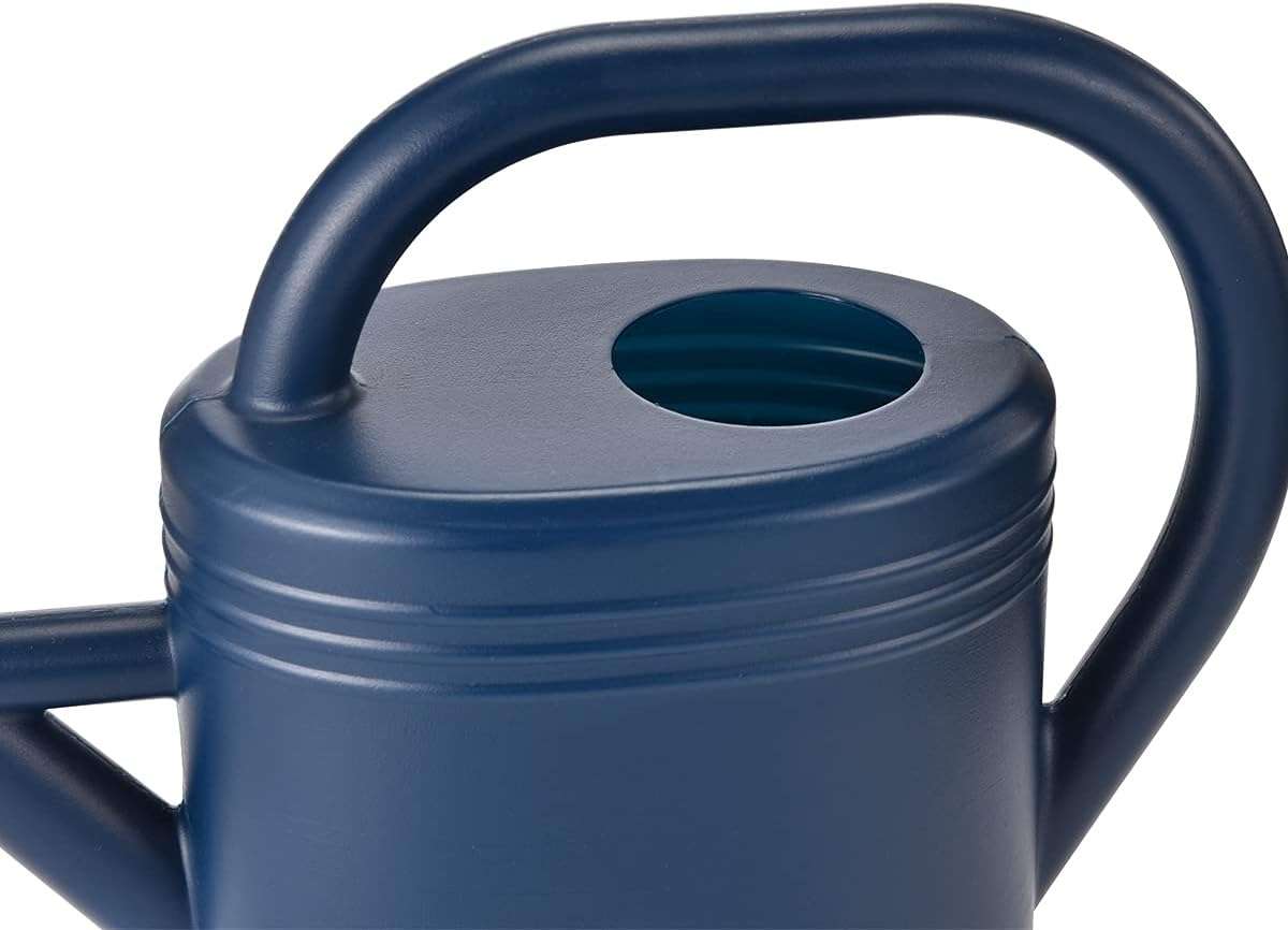 Watering Can 1 Gallon for Indoor Plants, Garden, Outdoor Plant House Flower, Gallon Large Long Spout with Sprinkler Head - 9