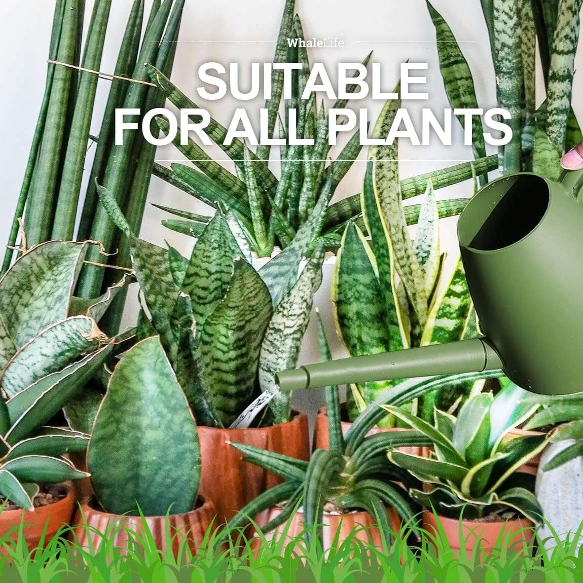 WhaleLife Indoor Watering Can for House Bonsai Plants (2.0L, Green) - 5