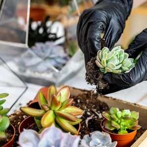 Melphoe 25Pcs Mini Garden Hand Transplanting Succulent Tools Set, 39.4 Thickened Repotting Mat & Plant Tag, Miniature Planting Indoor Fairy Care, Potting, Cactus, Houseplant Bonsai Tool Kit - 3