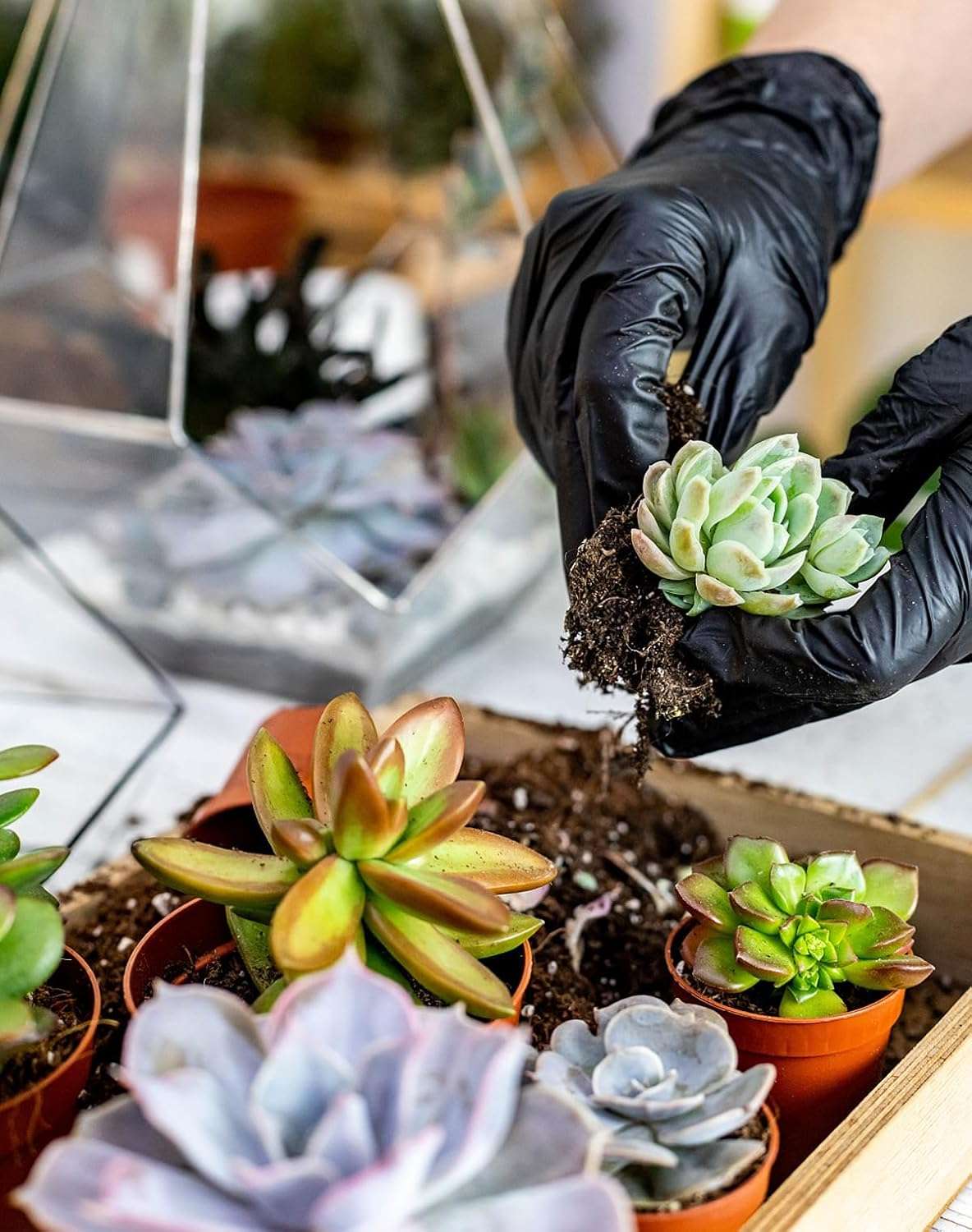 Melphoe 25Pcs Mini Garden Hand Transplanting Succulent Tools Set, 39.4 Thickened Repotting Mat & Plant Tag, Miniature Planting Indoor Fairy Care, Potting, Cactus, Houseplant Bonsai Tool Kit - 3