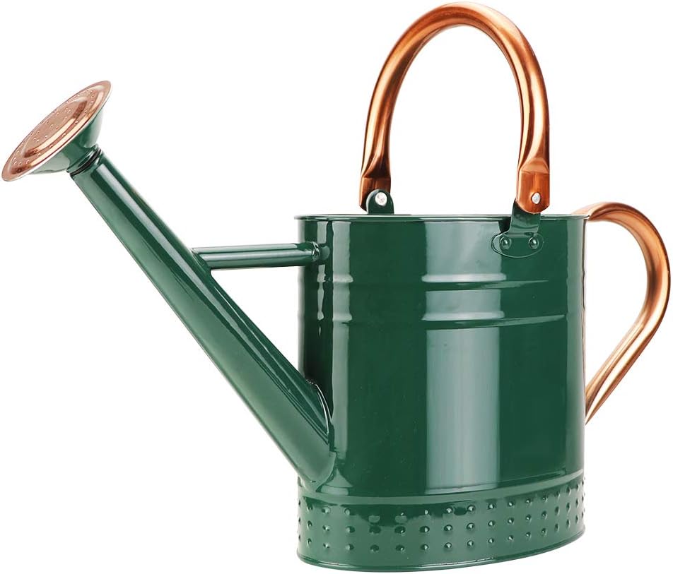 1 Gallon Metal Watering Can with Removable Spout, Nice Galvanized Steel Water Can with Embossed Design for Indoor and Outdoor Plants - 1