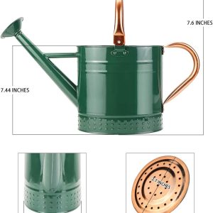 1 Gallon Metal Watering Can with Removable Spout, Nice Galvanized Steel Water Can with Embossed Design for Indoor and Outdoor Plants - 6