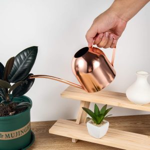IMEEA Indoor Watering Can for House Plants 33oz-1L Stainless Steel Watering Can with Long Spout (Rose Gold) - 2