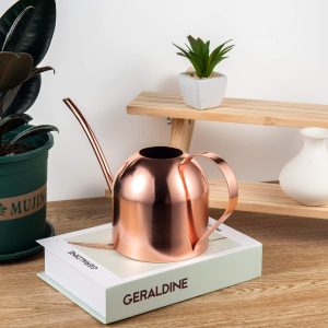 IMEEA Indoor Watering Can for House Plants 33oz-1L Stainless Steel Watering Can with Long Spout (Rose Gold) - 4